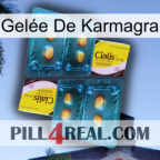 Gelée De Karmagra cialis5